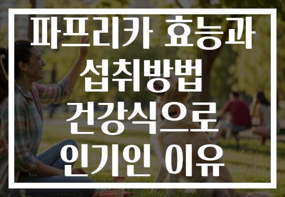 파프리카 효능과 섭취방법 건강식으로 인기인 이유 파프리카 효능과 섭취방법 건강식으로 인기인 이유