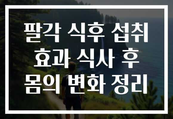 팔각 식후 섭취 효과 식사 후 몸의 변화 정리 팔각 식후 섭취 효과 식사 후 몸의 변화 정리