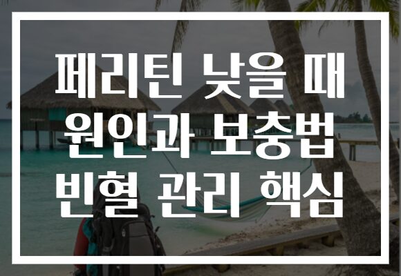 페리틴 낮을 때 원인과 보충법 빈혈 관리 핵심