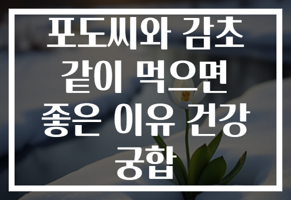 포도씨와 감초 같이 먹으면 좋은 이유 건강 궁합 포도씨와 감초 같이 먹으면 좋은 이유 건강 궁합