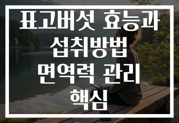 표고버섯 효능과 섭취방법 면역력 관리 핵심