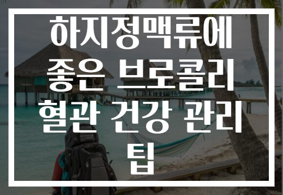 하지정맥류에 좋은 브로콜리 혈관 건강 관리 팁