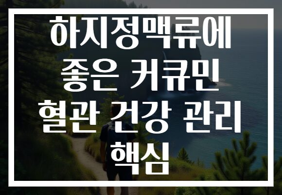 하지정맥류에 좋은 커큐민 혈관 건강 관리 핵심 하지정맥류에 좋은 커큐민 혈관 건강 관리 핵심