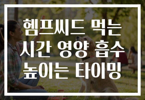헴프씨드 먹는 시간 영양 흡수 높이는 타이밍