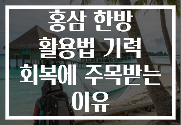 홍삼 한방 활용법 기력 회복에 주목받는 이유 홍삼 한방 활용법 기력 회복에 주목받는 이유