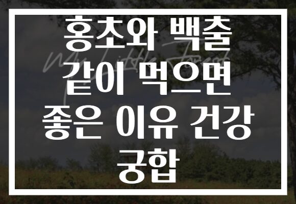 홍초와 백출 같이 먹으면 좋은 이유 건강 궁합 홍초와 백출 같이 먹으면 좋은 이유 건강 궁합