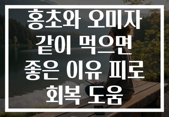 홍초와 오미자 같이 먹으면 좋은 이유 피로 회복 도움 홍초와 오미자 같이 먹으면 좋은 이유 피로 회복 도움
