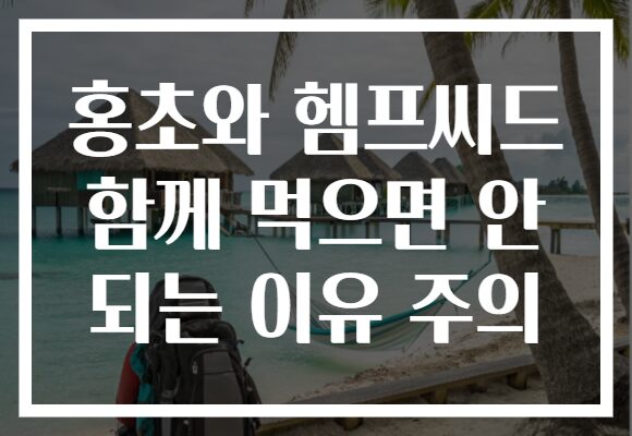홍초와 헴프씨드 함께 먹으면 안 되는 이유 주의
