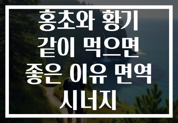홍초와 황기 같이 먹으면 좋은 이유 면역 시너지
