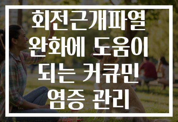 회전근개파열 완화에 도움이 되는 커큐민 염증 관리