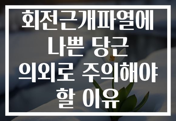 회전근개파열에 나쁜 당근 의외로 주의해야 할 이유 회전근개파열에 나쁜 당근 의외로 주의해야 할 이유