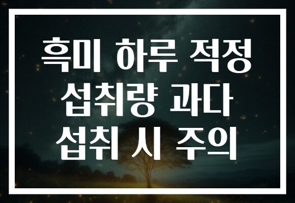 흑미 하루 적정 섭취량 과다 섭취 시 주의