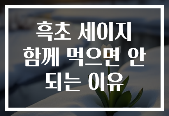 흑초 세이지 함께 먹으면 안 되는 이유