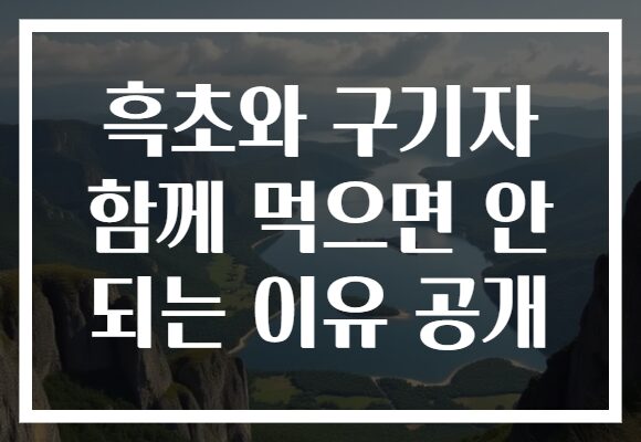 흑초와 구기자 함께 먹으면 안 되는 이유 공개