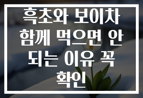 흑초와 보이차 함께 먹으면 안 되는 이유 꼭 확인 흑초와 보이차 함께 먹으면 안 되는 이유 꼭 확인