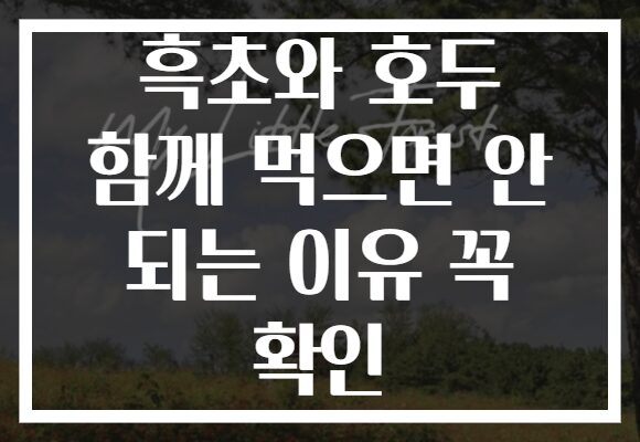 흑초와 호두 함께 먹으면 안 되는 이유 꼭 확인 흑초와 호두 함께 먹으면 안 되는 이유 꼭 확인