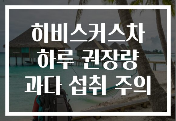 히비스커스차 하루 권장량 과다 섭취 주의