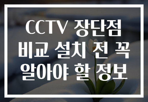 CCTV 장단점 비교 설치 전 꼭 알아야 할 정보