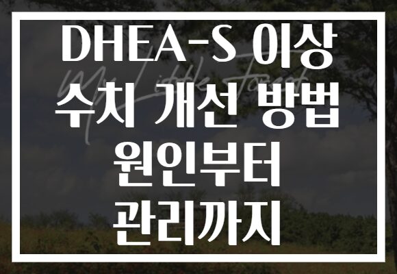 DHEA-S 이상 수치 개선 방법 원인부터 관리까지