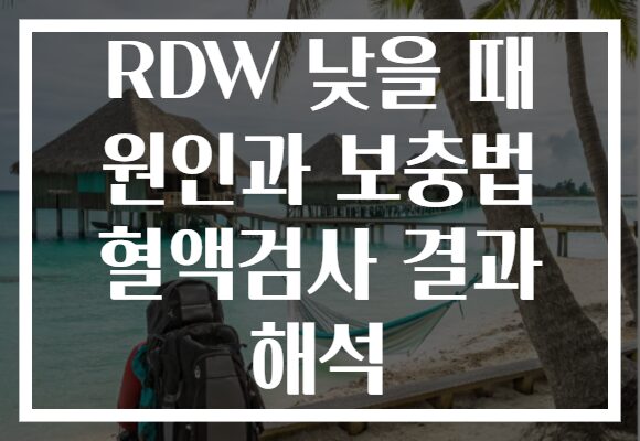 RDW 낮을 때 원인과 보충법 혈액검사 결과 해석