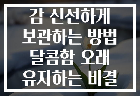감 신선하게 보관하는 방법 달콤함 오래 유지하는 비결