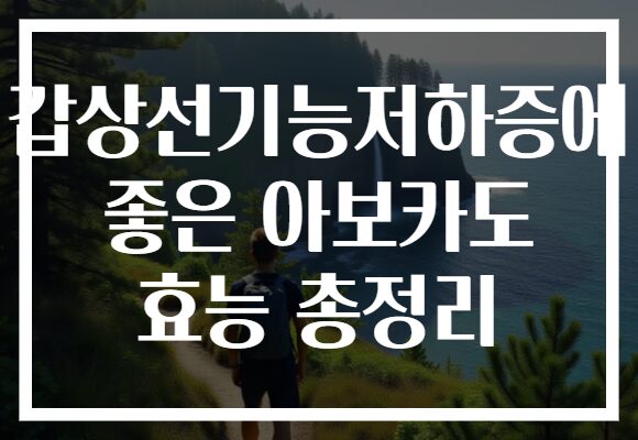 갑상선기능저하증에 좋은 아보카도 효능 총정리