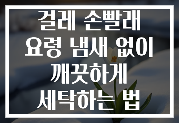 걸레 손빨래 요령 냄새 없이 깨끗하게 세탁하는 법