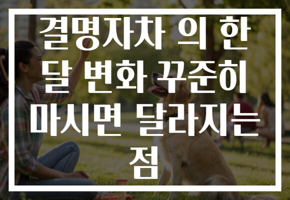 결명자차 의 한 달 변화 꾸준히 마시면 달라지는 점