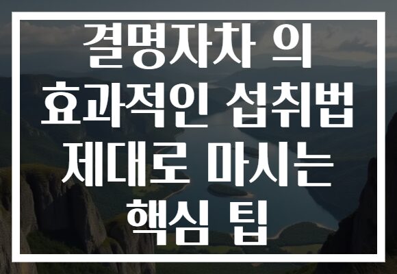 결명자차 의 효과적인 섭취법 제대로 마시는 핵심 팁