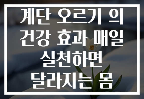 계단 오르기 의 건강 효과 매일 실천하면 달라지는 몸