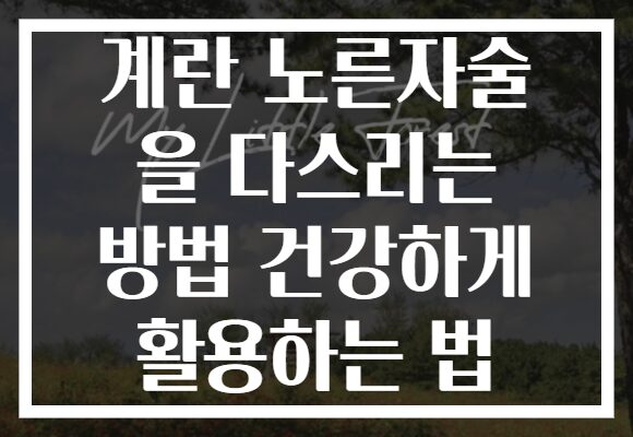 계란 노른자술 을 다스리는 방법 건강하게 활용하는 법 계란 노른자술 을 다스리는 방법 건강하게 활용하는 법