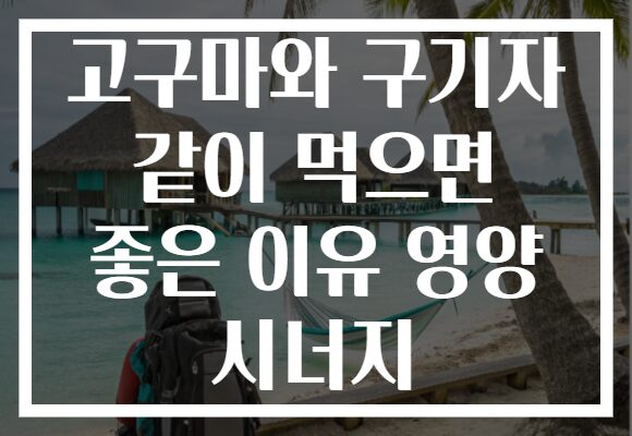 고구마와 구기자 같이 먹으면 좋은 이유 영양 시너지 고구마와 구기자 같이 먹으면 좋은 이유 영양 시너지