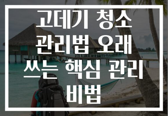 고데기 청소 관리법 오래 쓰는 핵심 관리 비법