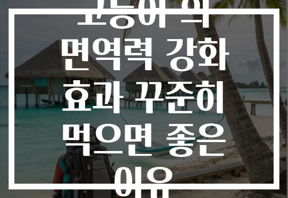 고등어 의 면역력 강화 효과 꾸준히 먹으면 좋은 이유