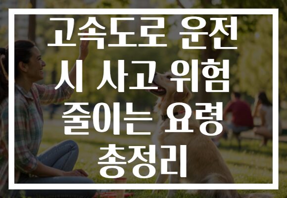 고속도로 운전 시 사고 위험 줄이는 요령 총정리 고속도로 운전 시 사고 위험 줄이는 요령 총정리