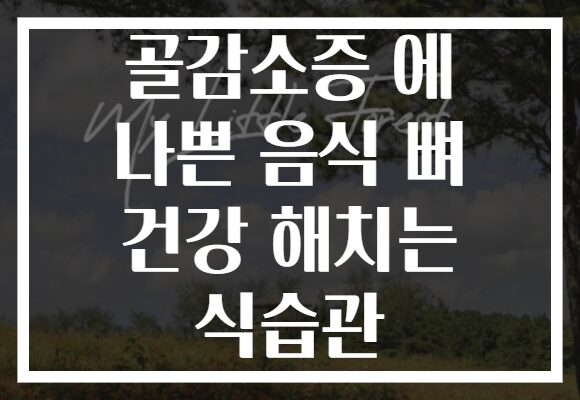 골감소증 에 나쁜 음식 뼈 건강 해치는 식습관