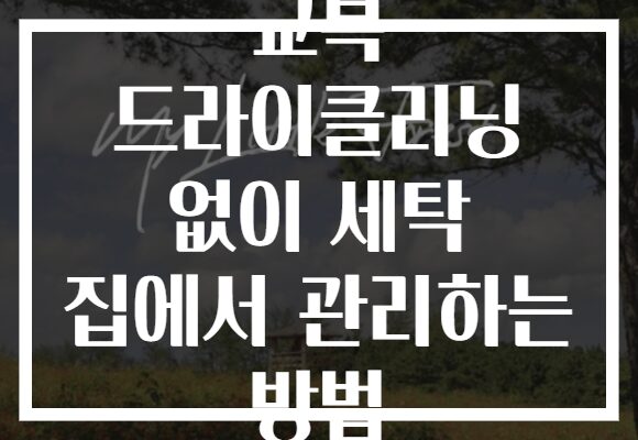 교복 드라이클리닝 없이 세탁 집에서 관리하는 방법