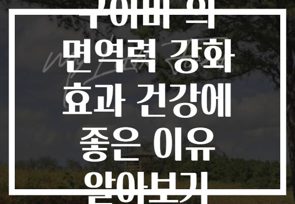 구아바 의 면역력 강화 효과 건강에 좋은 이유 알아보기