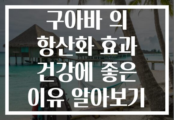 구아바 의 항산화 효과 건강에 좋은 이유 알아보기 구아바 의 항산화 효과 건강에 좋은 이유 알아보기