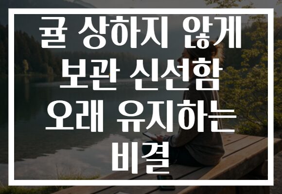 귤 상하지 않게 보관 신선함 오래 유지하는 비결 귤 상하지 않게 보관 신선함 오래 유지하는 비결