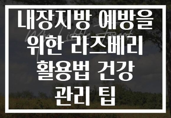 내장지방 예방을 위한 라즈베리 활용법 건강 관리 팁 내장지방 예방을 위한 라즈베리 활용법 건강 관리 팁