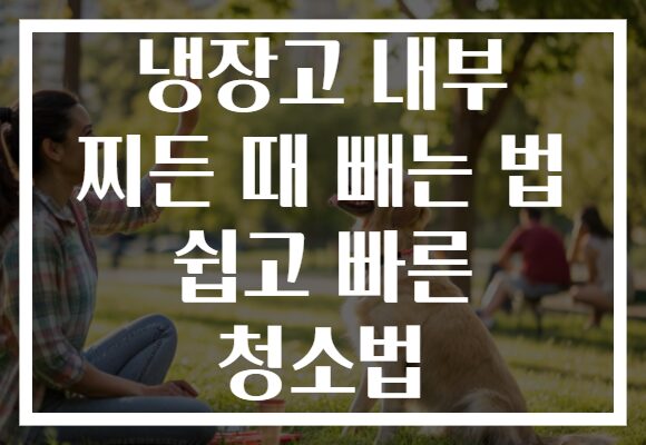 냉장고 내부 찌든 때 빼는 법 쉽고 빠른 청소법 냉장고 내부 찌든 때 빼는 법 쉽고 빠른 청소법