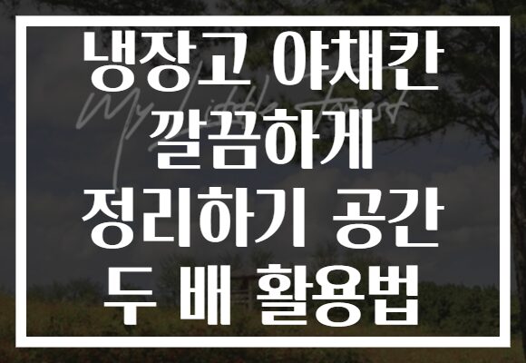 냉장고 야채칸 깔끔하게 정리하기 공간 두 배 활용법 냉장고 야채칸 깔끔하게 정리하기 공간 두 배 활용법