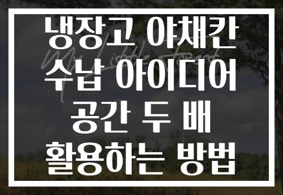 냉장고 야채칸 수납 아이디어 공간 두 배 활용하는 방법 냉장고 야채칸 수납 아이디어 공간 두 배 활용하는 방법