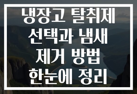 냉장고 탈취제 선택과 냄새 제거 방법 한눈에 정리 냉장고 탈취제 선택과 냄새 제거 방법 한눈에 정리