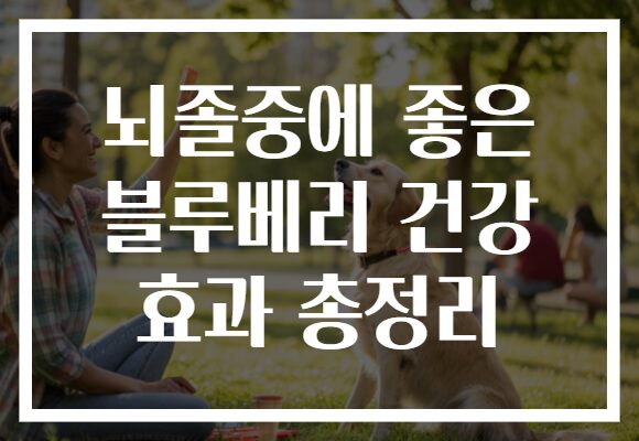 뇌졸중에 좋은 블루베리 건강 효과 총정리 뇌졸중에 좋은 블루베리 건강 효과 총정리