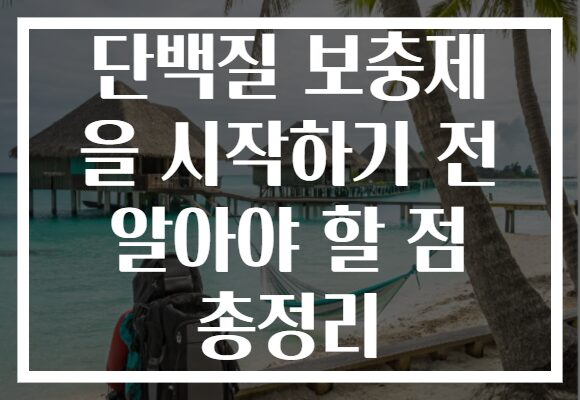 단백질 보충제 을 시작하기 전 알아야 할 점 총정리