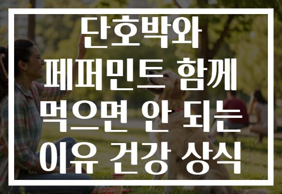 단호박와 페퍼민트 함께 먹으면 안 되는 이유 건강 상식
