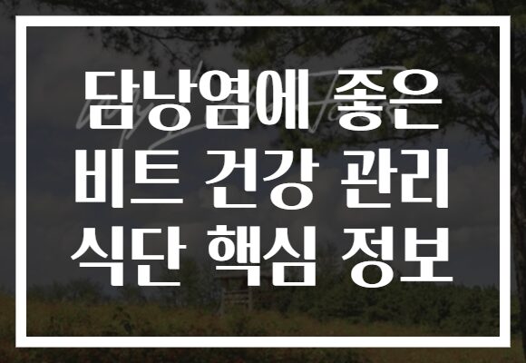 담낭염에 좋은 비트 건강 관리 식단 핵심 정보 담낭염에 좋은 비트 건강 관리 식단 핵심 정보