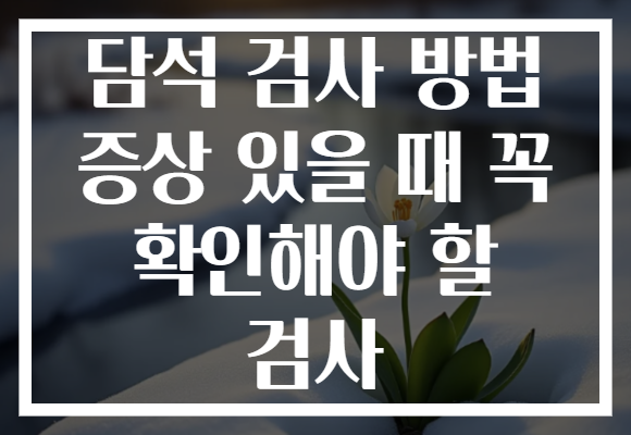 담석 검사 방법 증상 있을 때 꼭 확인해야 할 검사 담석 검사 방법 증상 있을 때 꼭 확인해야 할 검사